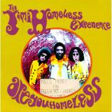 The Jimi Hendrix Experience Are You Experienced