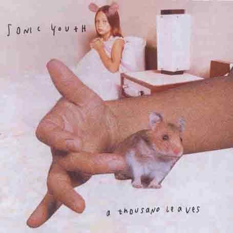 Sonic Youth A Thousand Leaves