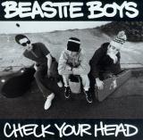 The Beastie Boys Check Your Head