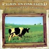 Bluegrass Tribute Pickin on Pink Floyd
