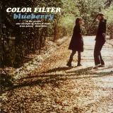 Color Filter Blueberry