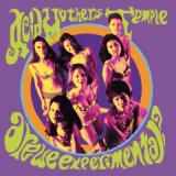 Acid Mothers Temple & The Melting Paraiso UFO Are We Experimental?