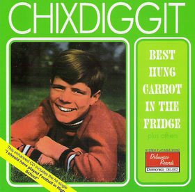 Chixdiggit Best Hung Carrot in the Fridge