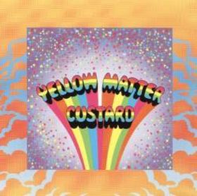 Yellow Matter Custard One Night in New York City