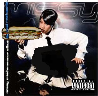 Album cover parody of Da Real World by Missy Misdemeanor Elliott