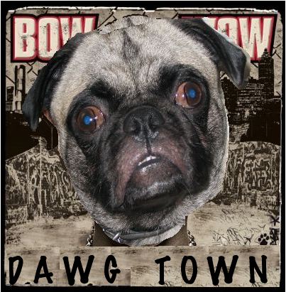 Album cover parody of Wanted by Bow Wow
