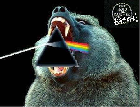 Album cover parody of Dark Side of the Moon by Pink Floyd
