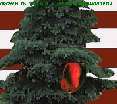 Album cover parody of Born in the U.S.A. by Bruce Springsteen