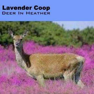 Album cover parody of Dear Heather by Leonard Cohen