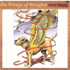 Album cover parody of On Wings of Eagles by David Blonski