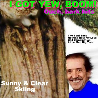 Album cover parody of I Got You Babe & Other Hits by Sonny & Cher