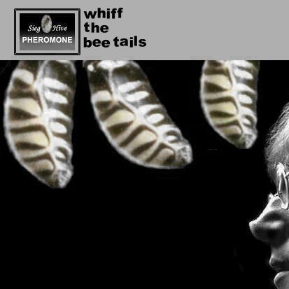 Album cover parody of With the Beatles by Beatles