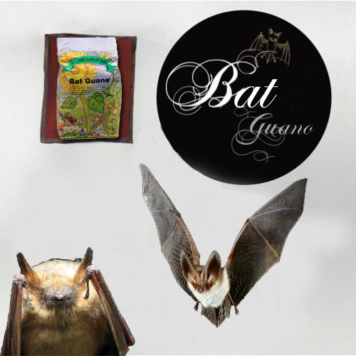 Album cover parody of Guero by Beck