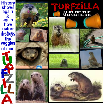 Album cover parody of Godzilla/ King of The Monsters by Various Artists