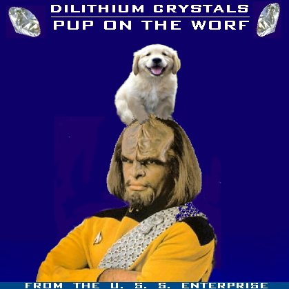 Album cover parody of Up on the Roof: Songs from the Brill Building by Neil Diamond