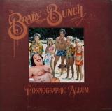 Brady Bunch Phonographic Album
