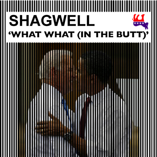 Album cover parody of What What (In The Butt) by Samwell