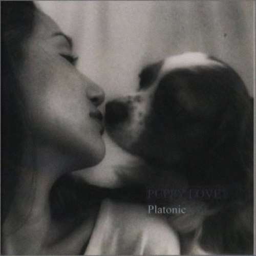 Album cover parody of Photograph by Love Notes