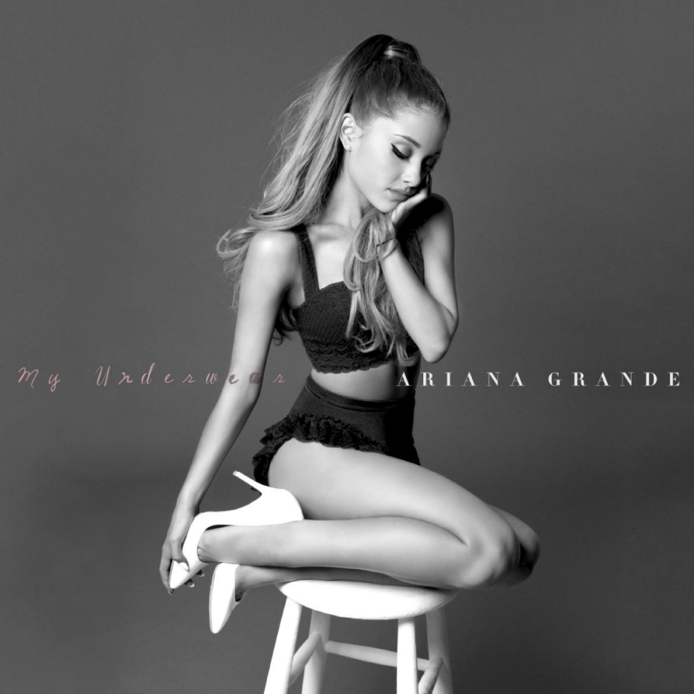 Album cover parody of My Everything by Ariana Grande