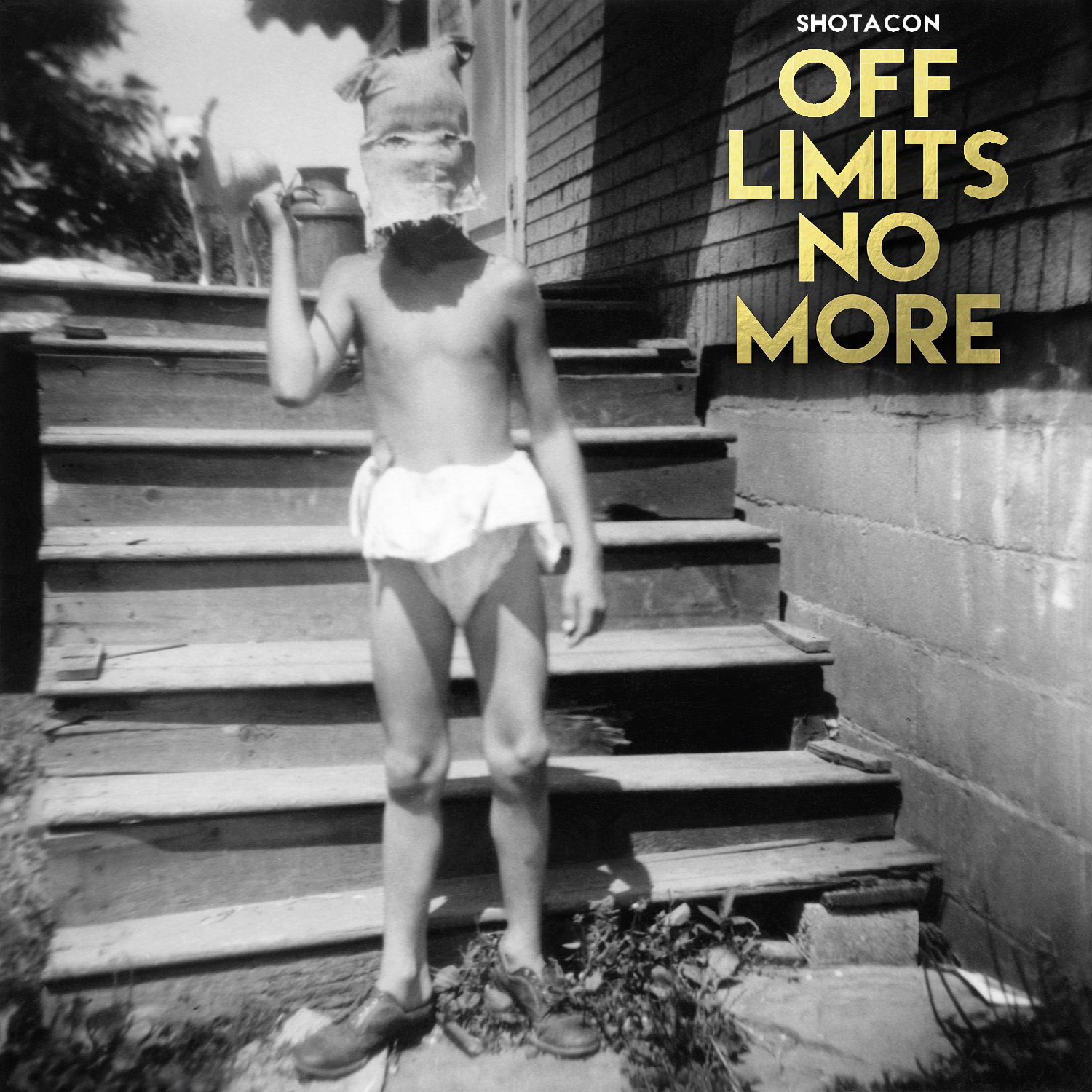 Album cover parody of Sol Invictus by Faith No More