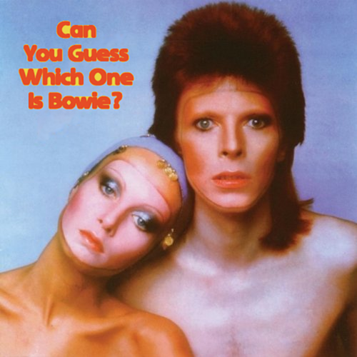 Album cover parody of Pin Ups by David Bowie