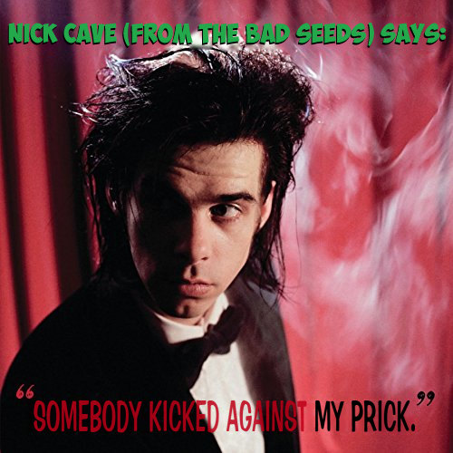 Album cover parody of Kicking Against The Pricks by Nick Cave & The Bad Seeds