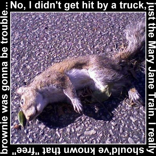 Album cover parody of Rape the Planet by Holy City Devils