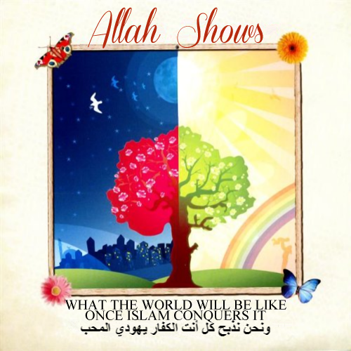 Album cover parody of Allah Knows by Zain Bhika