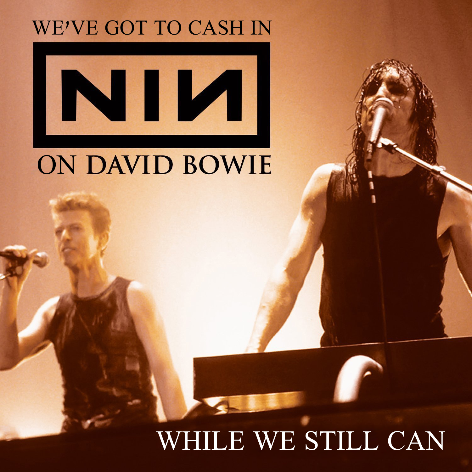 Album cover parody of We Prick You: Radio Broadcast by Nine Inch Nails Feat. David Bowie