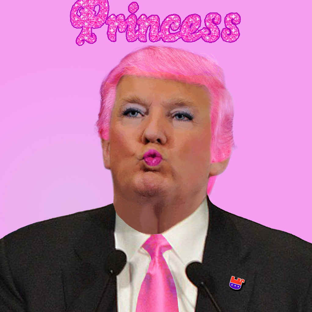 Album cover parody of Prince by PRINCE